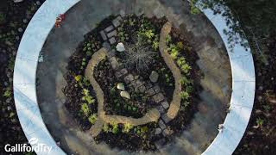 Glade Of Light Drone